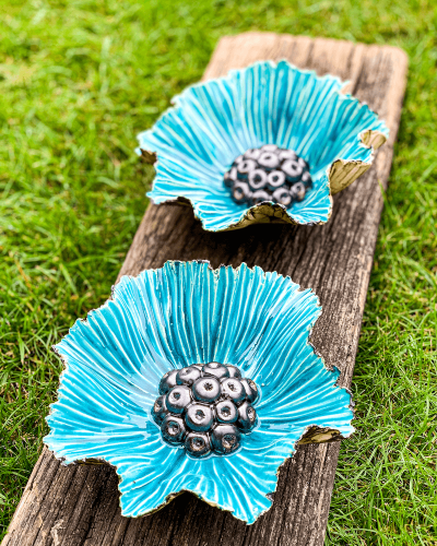 Kwiat 'Wielki Turkus'