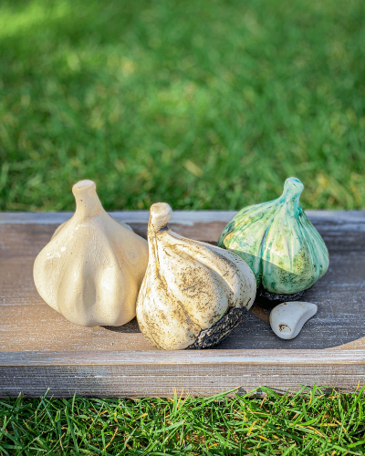 Czosnek (zestaw miks)