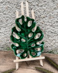 Duża Monstera
