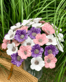 Anemony Ceramiczne