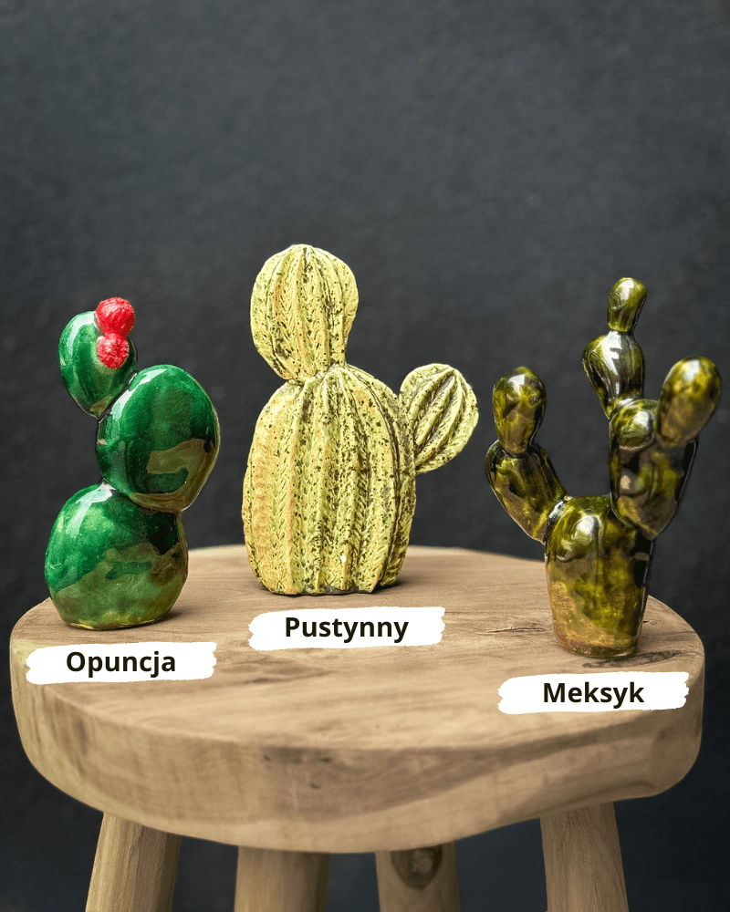 Kaktusy Ceramiczne